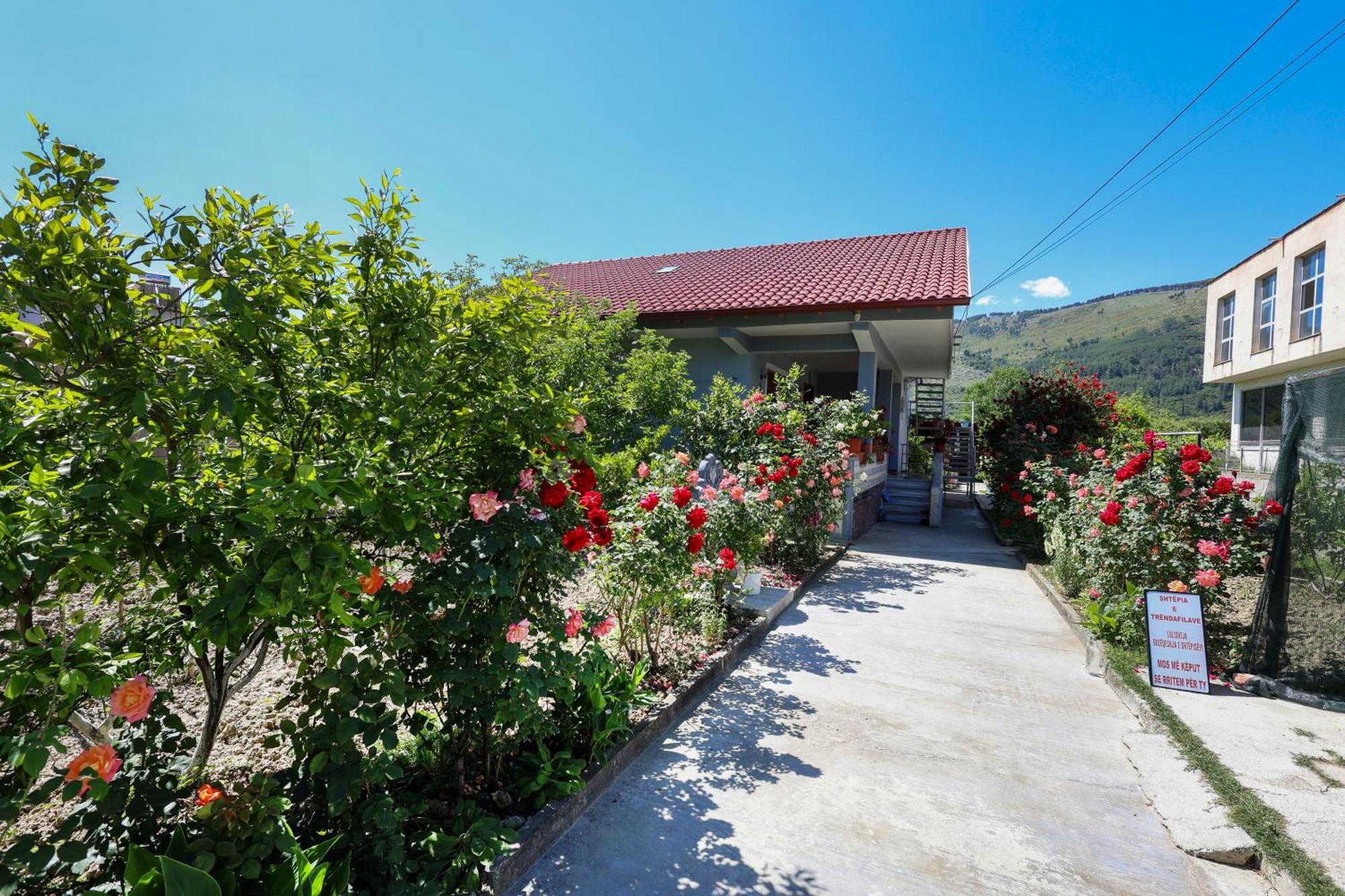 Samuela Cozy Retreat Berat Exterior foto