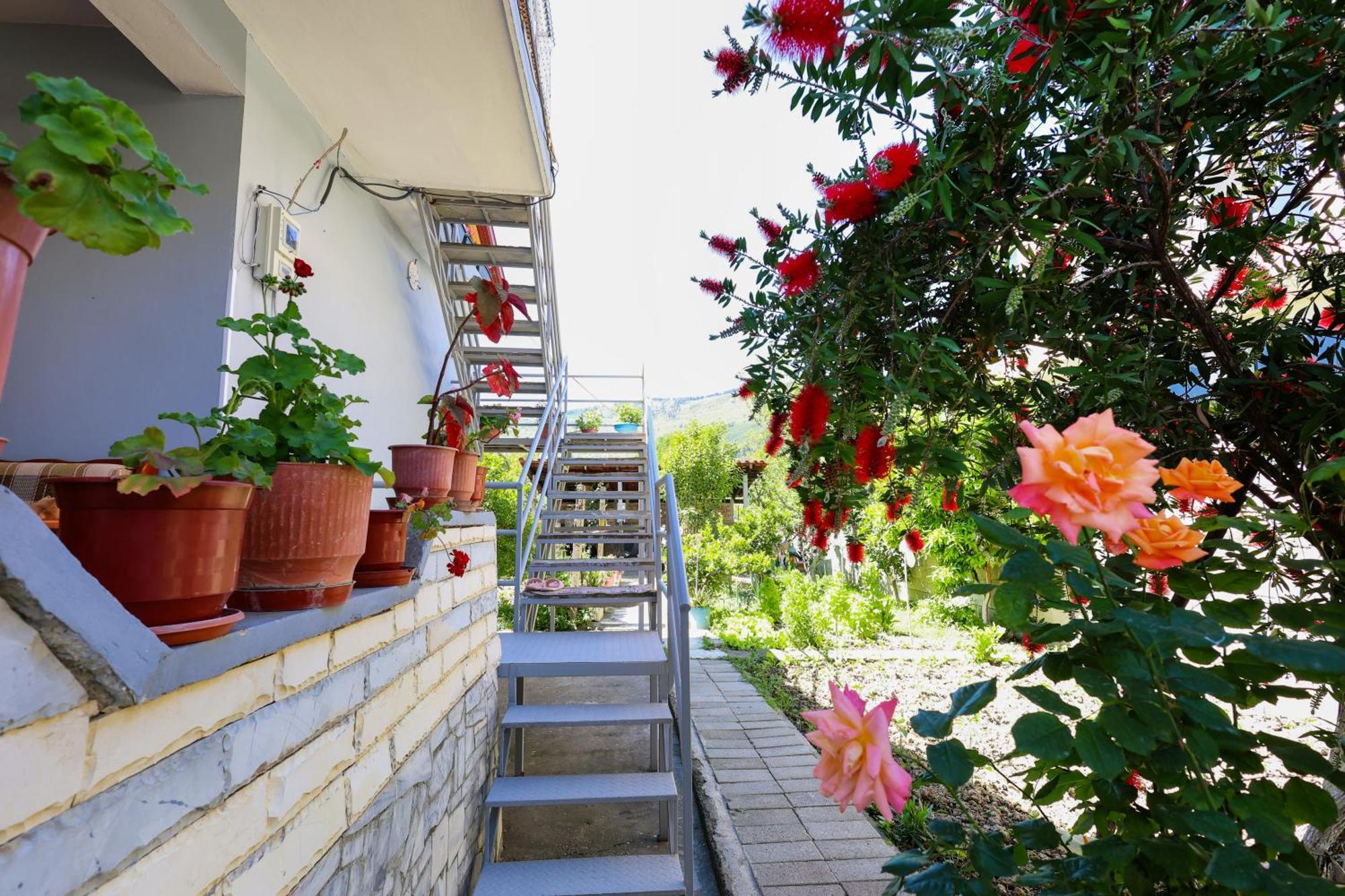 Samuela Cozy Retreat Berat Exterior foto