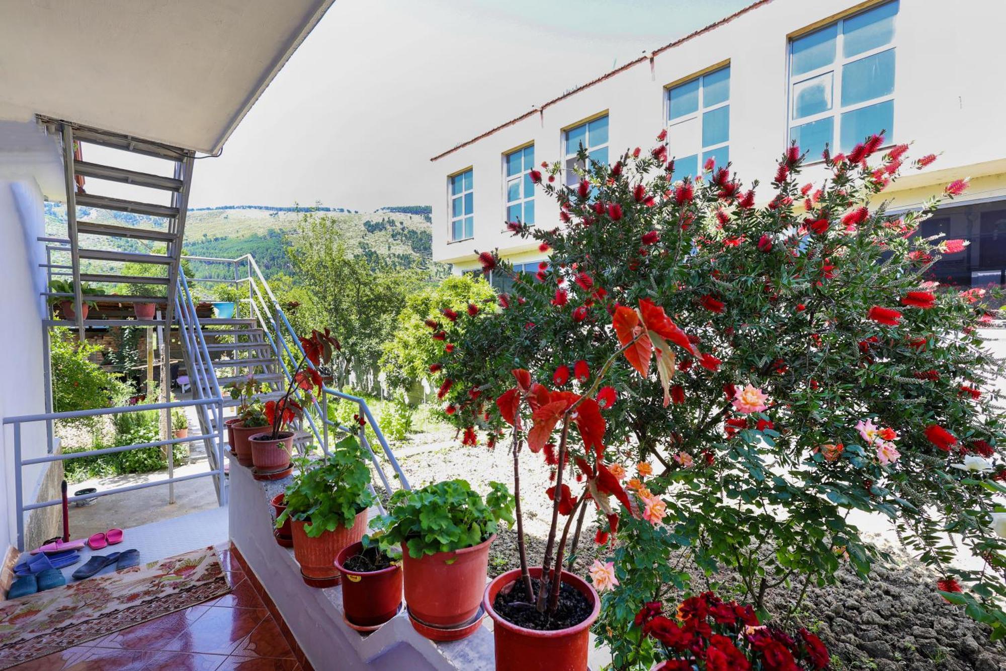 Samuela Cozy Retreat Berat Exterior foto