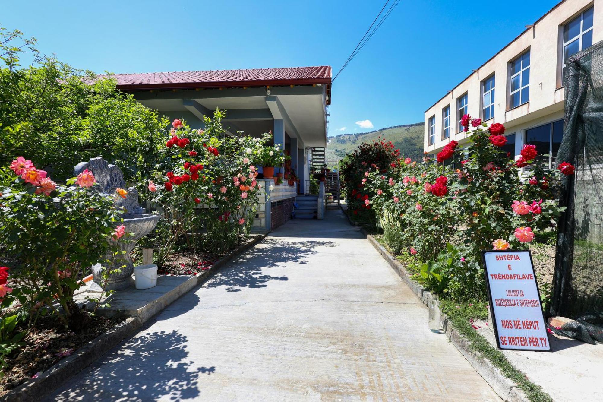 Samuela Cozy Retreat Berat Exterior foto